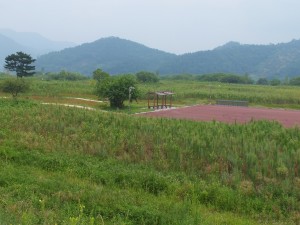 20120810_함안보생태공원1.jpg