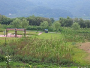 20120810_함안보생태공원2.jpg