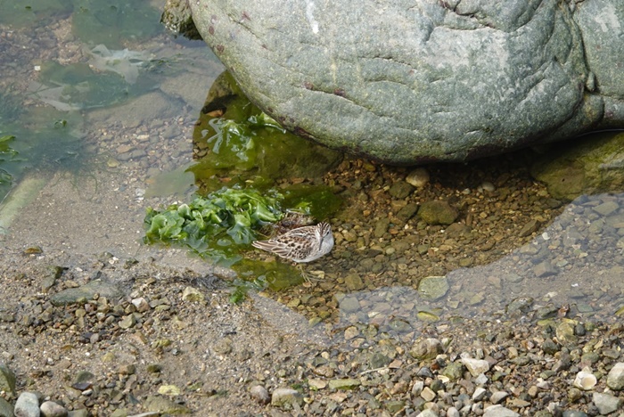 DSC03685.JPG
