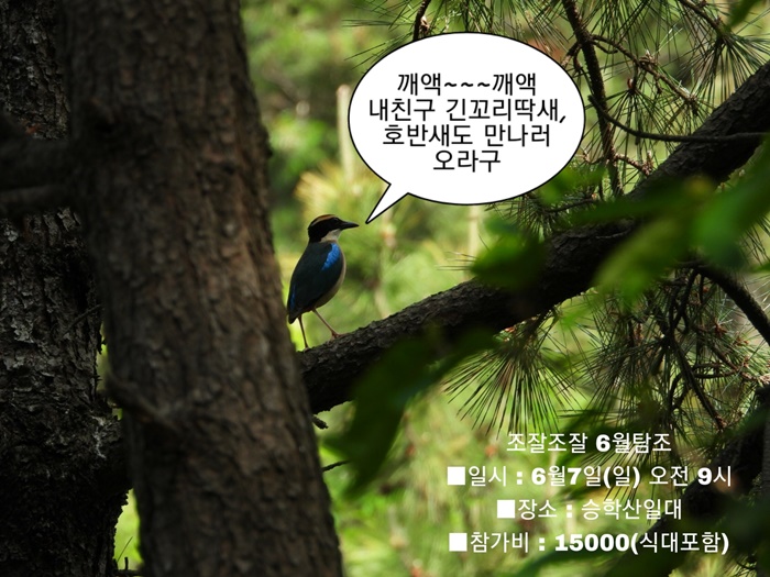 KakaoTalk_20260625_003713302.jpg