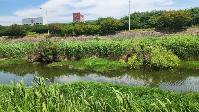 KakaoTalk_20260524_123600477_16.jpg