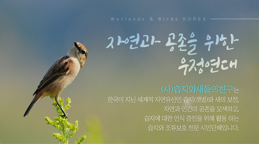 습지와새들의친구_소개.jpg