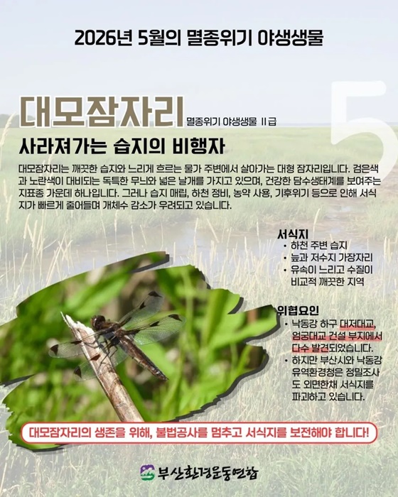 KakaoTalk_20260828_073630379_08.jpg
