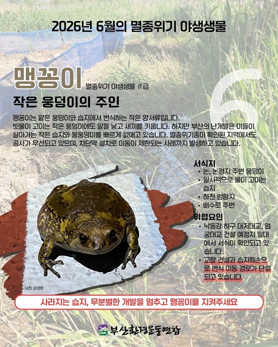 KakaoTalk_20260828_073630379_17.jpg