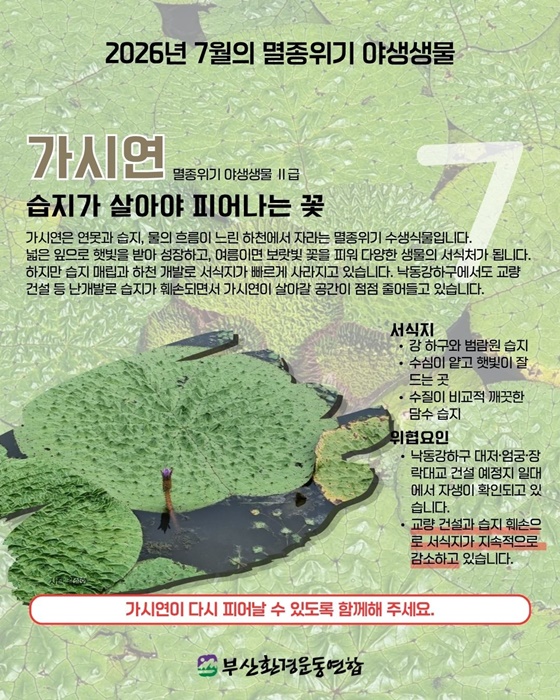 KakaoTalk_20260828_073630379_16.jpg