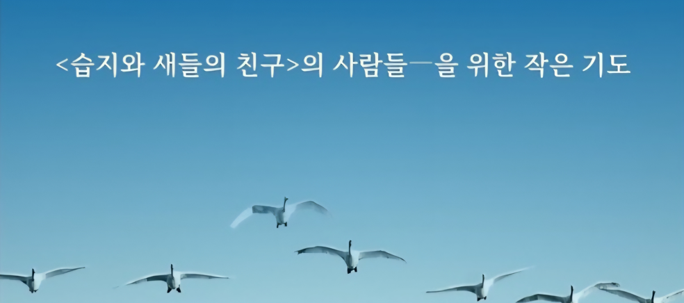 20260220_032716.png