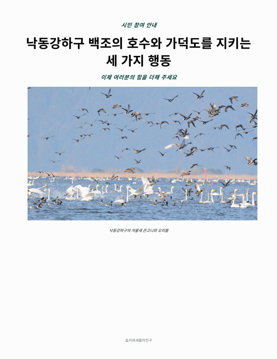 KakaoTalk_20260919_081021416.png